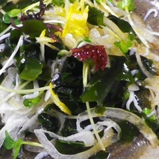 玉ねぎしらす海藻の柚子サラダ